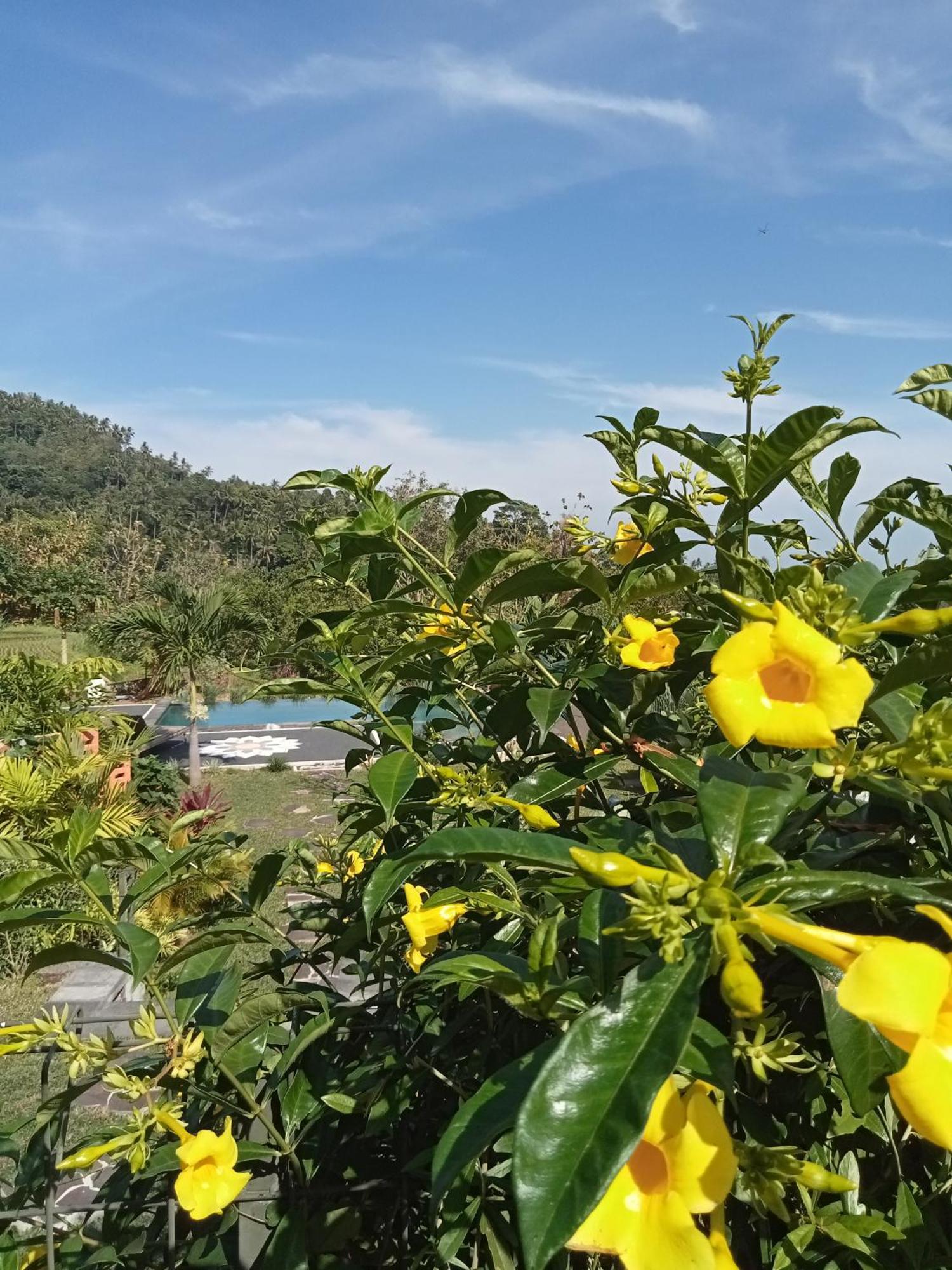 Villa Markisa Pakisan Sawan Bagian luar foto