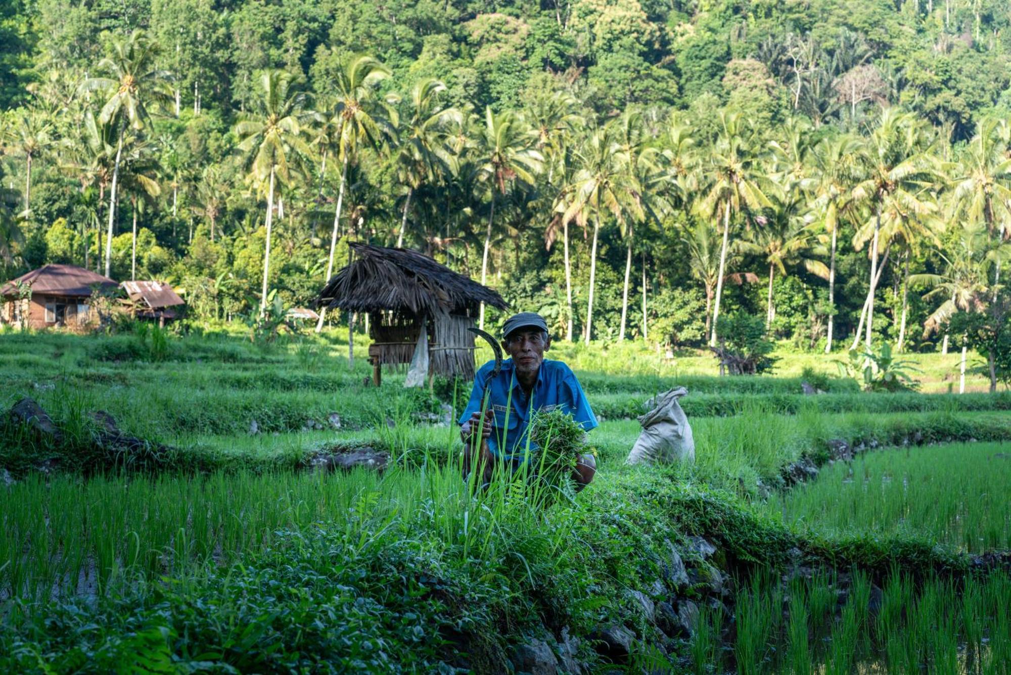 Villa Markisa Pakisan Sawan Bagian luar foto
