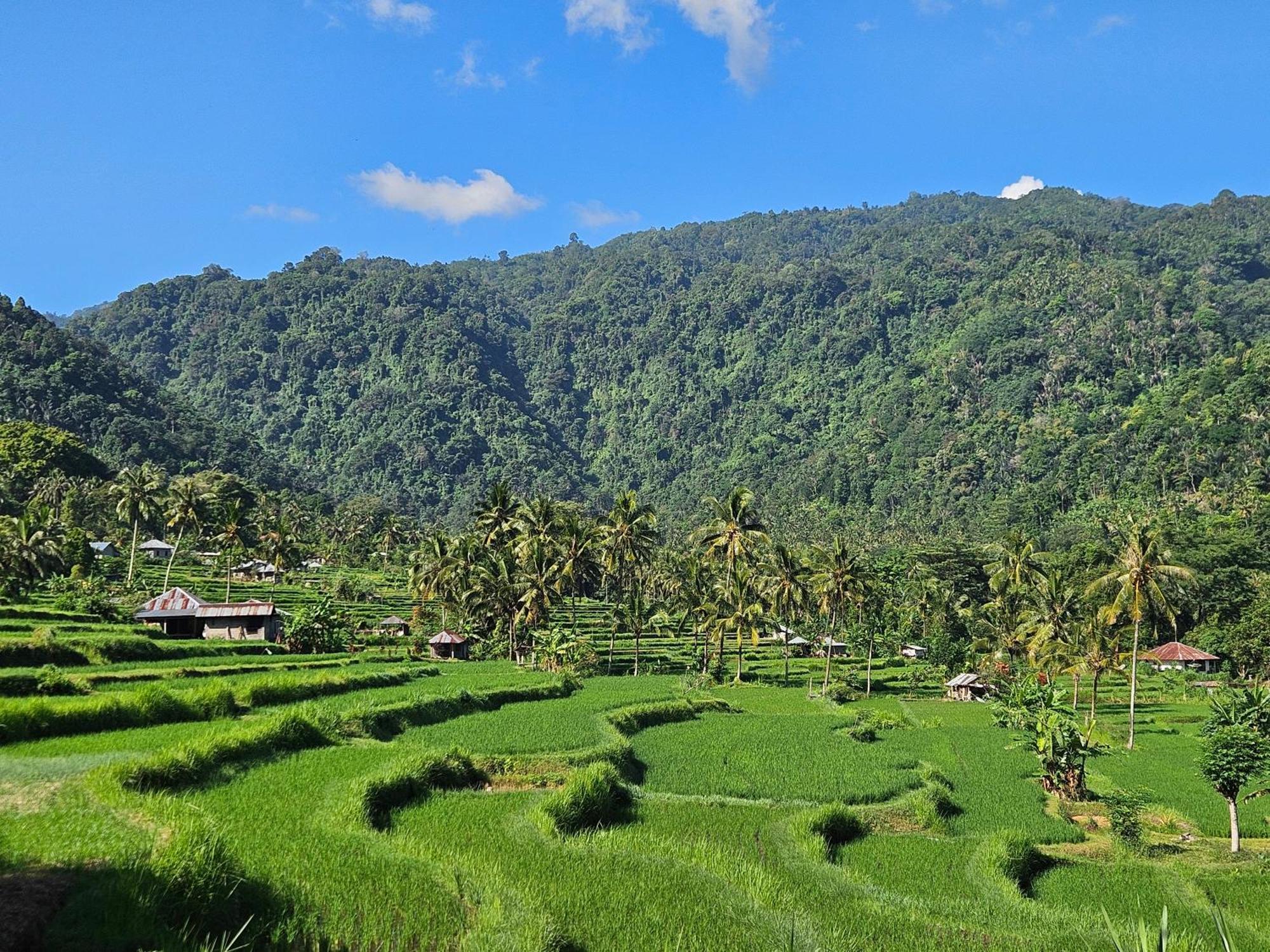 Villa Markisa Pakisan Sawan Bagian luar foto