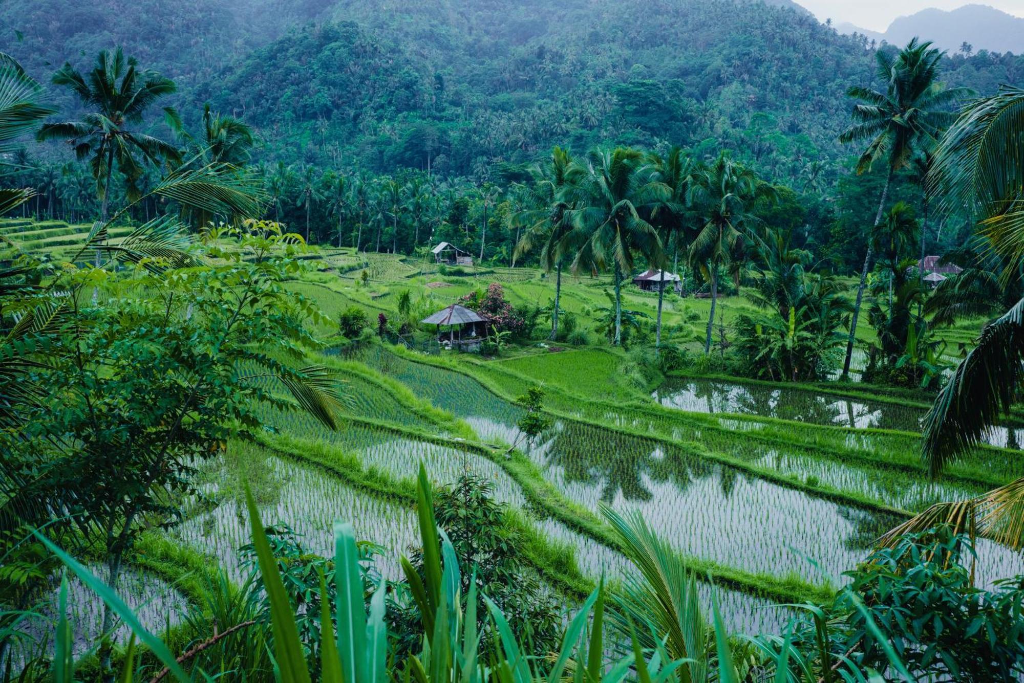 Villa Markisa Pakisan Sawan Bagian luar foto