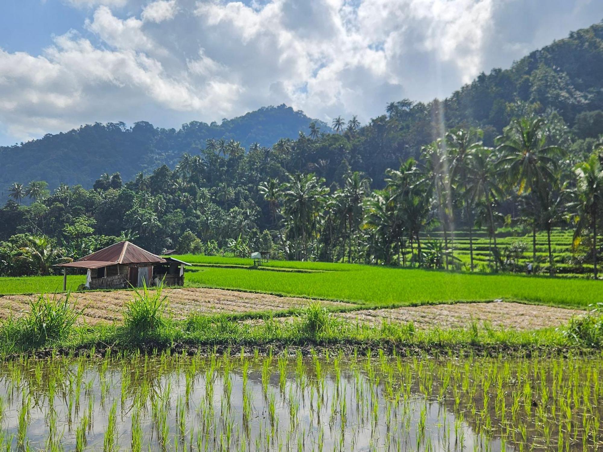 Villa Markisa Pakisan Sawan Bagian luar foto